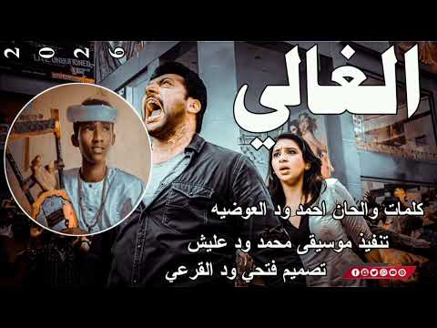 جديد 2026 الفنان احمد ود العوضيه الغالي
