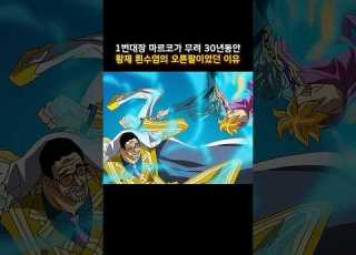  The Reason Why Marco The 1st Division Commander Was Emperor Whitebeard S Right Hand Man For A W