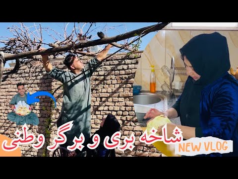 شاخه بری تاک ها پخت برگر وطنی خوشمزه برای افطار