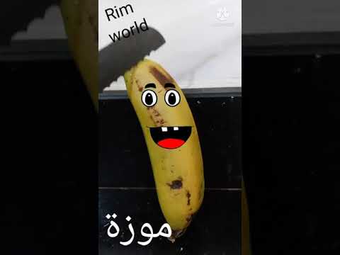 هل الصيصان شو حلوين بابا سناني واوا عندو سرير وصار كبير طيور الجنة بيبي اغاني اطفال كراميش وناسة 3