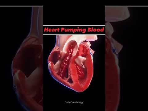 اصوات القلب الطبيعية