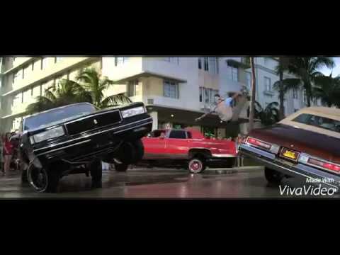 مهرجان هانوفر مولد سيدي العريان