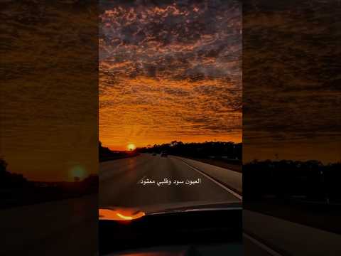 بابا Baba عمرو دياب Amr Diab بابا عمرو دياب ابتدينا Reels Explore Foryou