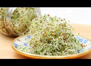  فوائد براعم الفاصوليا و طريقه صنعها