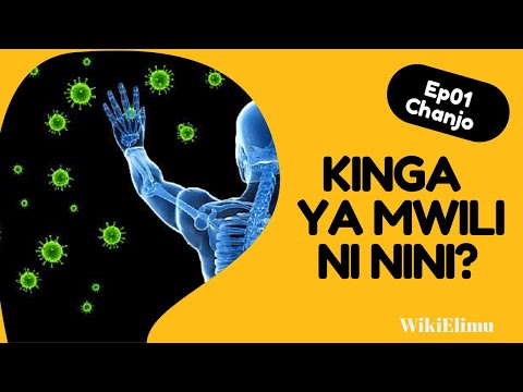 KINGA YA MWILI NI NINI