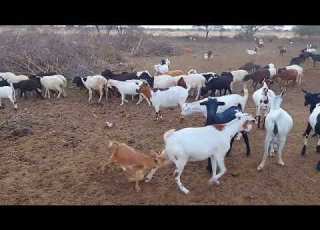  Checkout Ndoo Za Jishosha Mayiku Sai