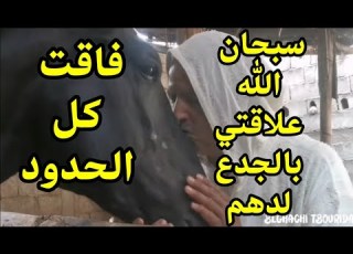  إحساس غريب بين الجدع نسيم وصاحبه عبد ربه بن الغاشي نورالدين