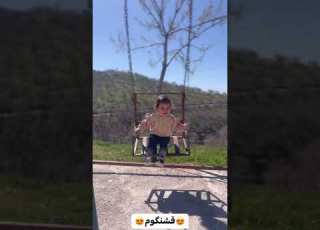 ژینو
