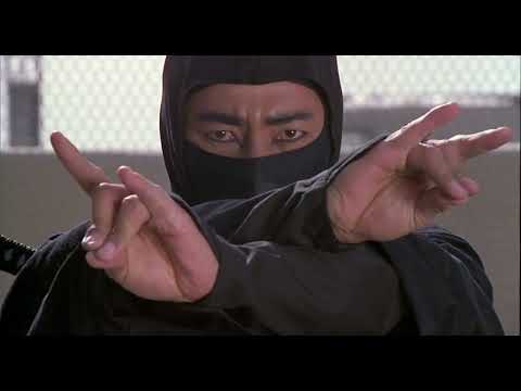 Sho Kosugi Vs Silver Ninja Recut
