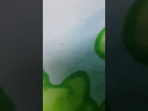 يقطع البق و سنينه حشرة البق صغيرة جدا لكن لا تجعلك تنام