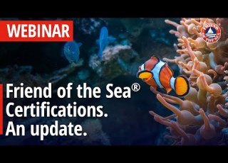 WEBINAR Friend Of The Sea Certification And Conservation An Update