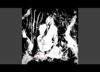 HALLUCINATION Vol 2 Slowed