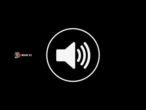 L2oghnya Dial Chlo7 Moroccan Memes Sound Effect