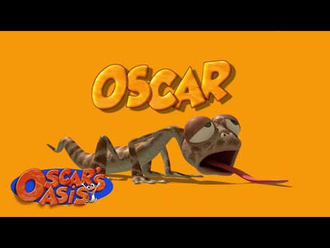 Oscar S Oasis Is On YouTube Channel Trailer