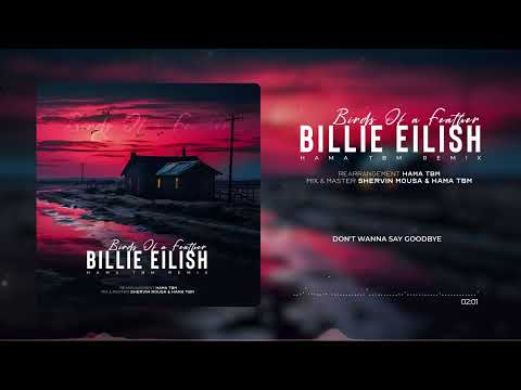 Billie Eilish BIRDS OF A FEATHER Hama TBM Remix Billie Eilish BIRDS OF A FEATHER Hama TBM Remix