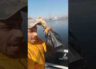  انا جيلك اهو ابو جني المصري Football تيك توك الفرصه الصدمات ريال مدريد الاهلي توكتوك دويتو