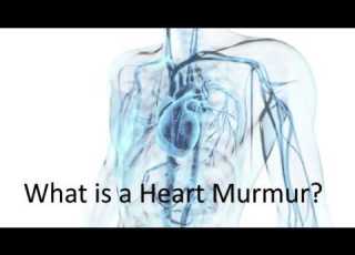 Ask A Cardiologist What Is A Heart Murmur