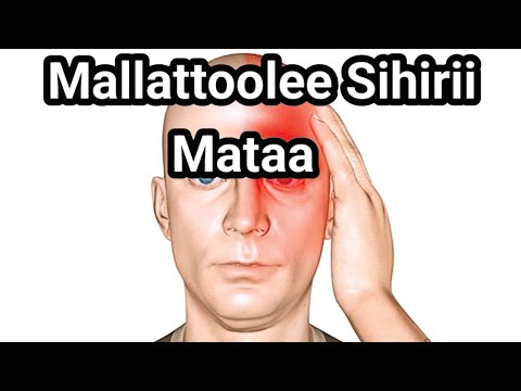 Mallattoolee Sihirii Mataa