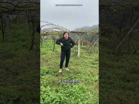 Rural Funny Video Laugh Every Time You Watch It