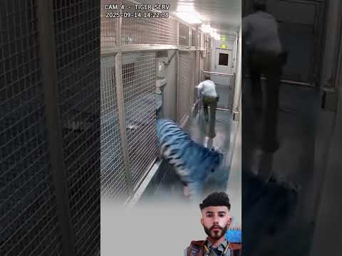 الحافظ هو الله مهما بلغت درجة الخطورة Youtubeshorts الحافظ هو الله مهما بلغت درجة الخطورة Youtubeshorts