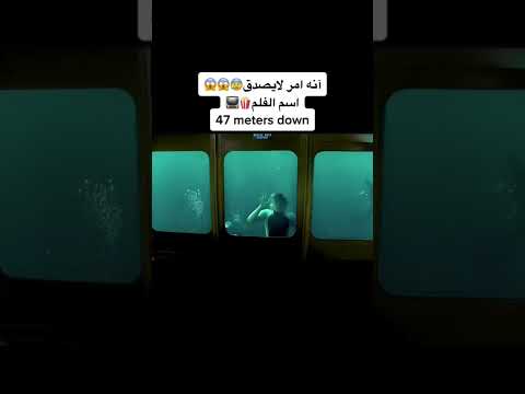 هجوم سمك القرش المرعب