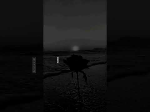 تصميمي على موسيقى نعم سرى طيف