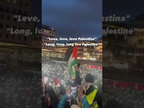 Swedish Song Leve Palestina Anthem For Palestine Solidarity Israel Palestine Vikings