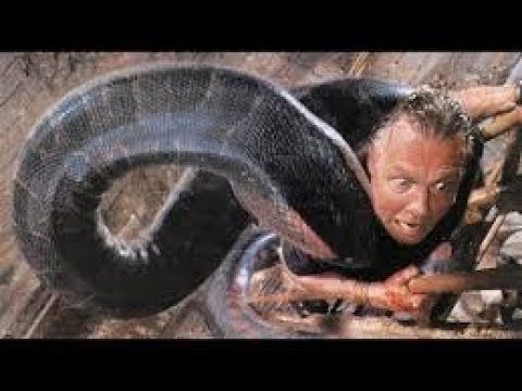 فيلم الرعب الافعى العملاقة اناكوندا حصريا فيلم الرعب الافعى العملاقة اناكوندا حصريا