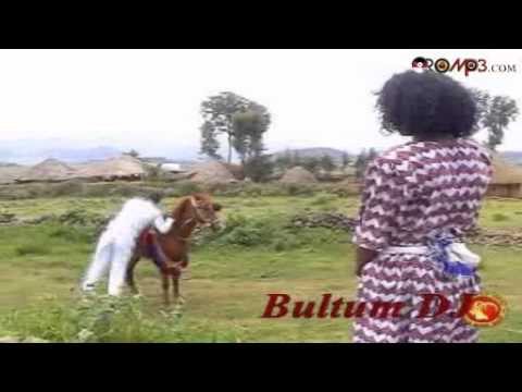 Taju Ahmed Bokkaan Roobee Oromo Music