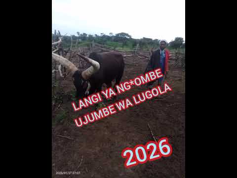 LANGI YA NG OMBE UJUMBE WA LUGOLA 2026 SALUMU CHALESI