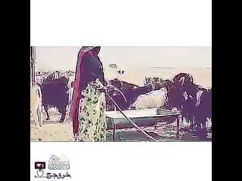 ياوجودي ليت مالي على الدنيا وجود