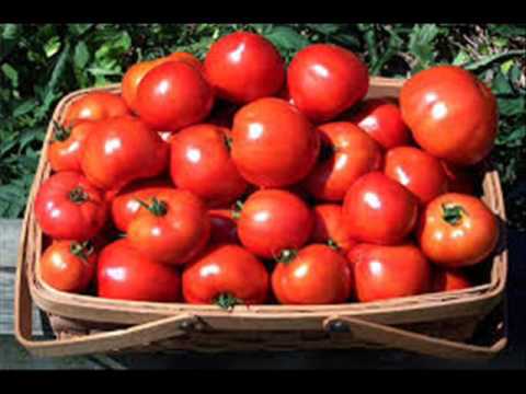 شعبان عبد الرحيم يغنى الطماطم بسبب ارتفاع اسعارها