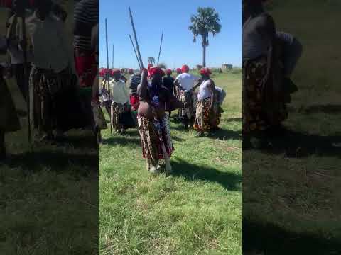 Kuomboka 2024 Africa Viralvideo Wildlife 2024 Cat Conservation Culture Heritage Holiday Kuomboka 2024 Africa Viralvideo Wildlife 2024 Cat Conservation Culture Heritage Holiday