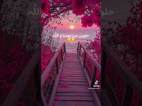 يا ليل طول شوية اكسبلور حلات تصميمي تيك توك النظافه ترند لايك