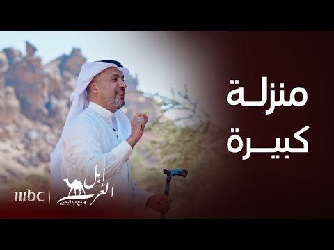 إبل العرب للناقة منزلة كبيرة عند الشاعر أوس بن حجر