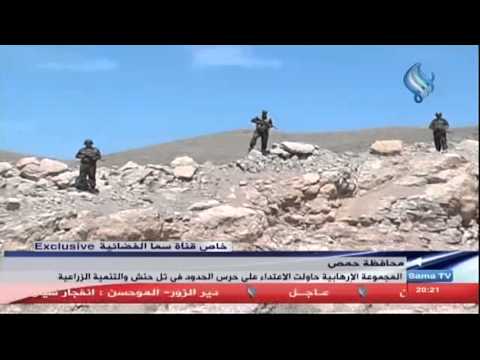 تقرير مراسلة قناة سما الفضائية كندة خضر حمص ريف القصير 24 05 2013