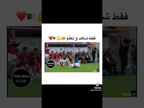 فخر الجزائر إلياس شتي