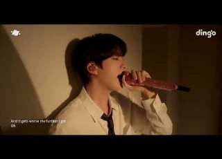 DON T SAY YOU LOVE ME BY JIN ON DINGO LIVE