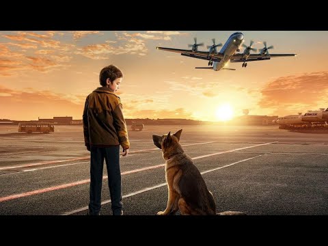 شخص يتخلى عن كلبه ويسافر ويترك كلبه وحيدا في المطار يعاني فلم A Dog Named Palma شخص يتخلى عن كلبه ويسافر ويترك كلبه وحيدا في المطار يعاني فلم A Dog Named Palma