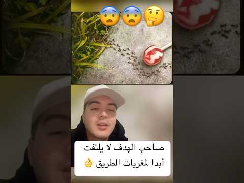 صاحب صاحب الهدف لا يلتفت أبدا لمغريات الطريق ا ترند لايك شورت Like Trend Short صاحب صاحب الهدف لا يلتفت أبدا لمغريات الطريق ا ترند لايك شورت Like Trend Short