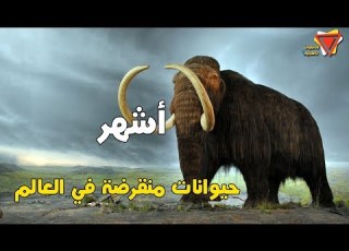 The Most Famous Extinct Animals In The World