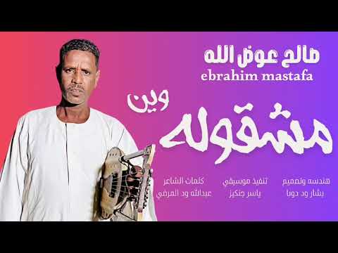 صالح عوض الله