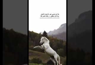 لاعبيني يا هوى والليل سامر