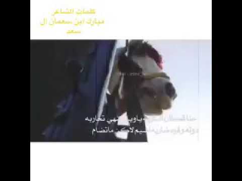 حنا قحطان العاربه ياويل منهي تحاربه دوله وقوه ضاربه إضيم لاكن ماتضام