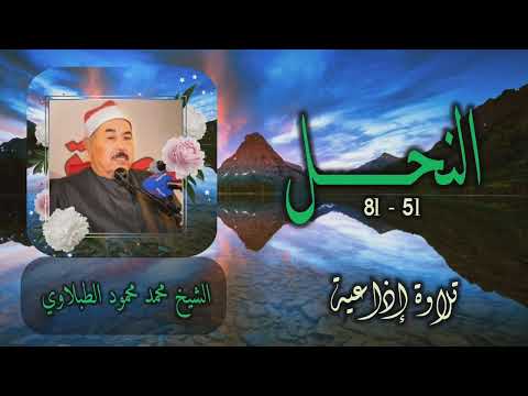 الشيخ محمد محمود الطبلاوي سورة النحل 51 81 أستوديو
