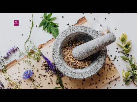 Mamma Healthcare Coming Soon 2026 02 20