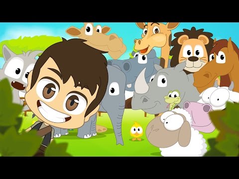 Animals For Kids In Arabic اسماء الحيوانات للأطفال باللغة العربية