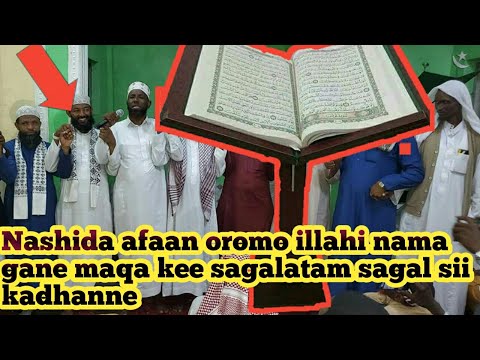 Nashida Afaan Oromo Illahi Nama Gane Maqa Sagaltami Sagalin Si Kadhane
