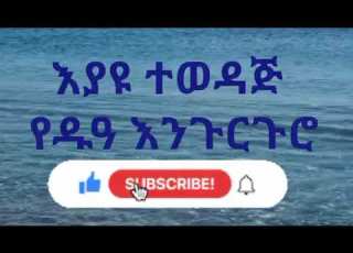  Old Engurguro Menzuma Menzuma Hadrah Ethiopia