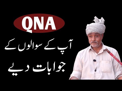 QNA Apke Sawalon Ke Jawab Diye Sharafat Ali Rehmani Qna Video Qna Stories Kahaniyan
